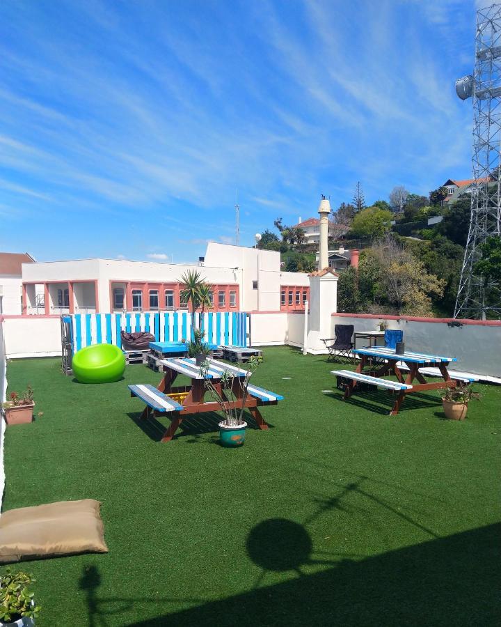 Crashpalace Backpackers Napier Exterior foto